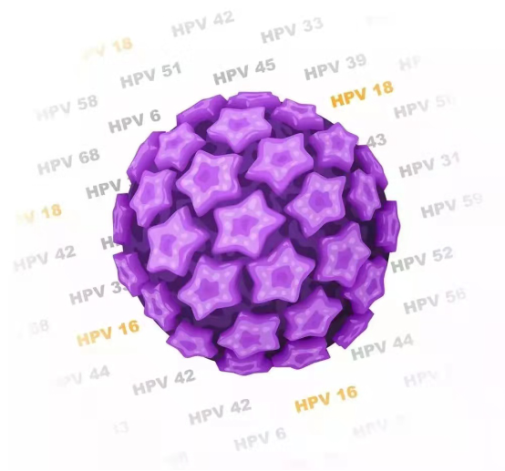 [健康科普]关爱女性健康，带你了解HPV的6个真相!w2.jpg