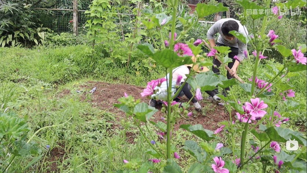 成都社恐夫妻火了!被房东坑200W后，花5000块住避世小院：没房贷，家具全用奢侈品，自由且富足w30.jpg