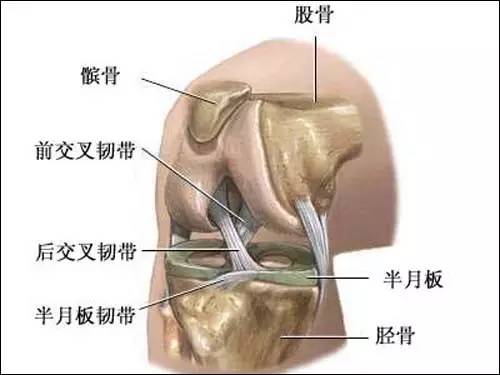 少年不知膝珍贵，老来望路空流泪w3.jpg