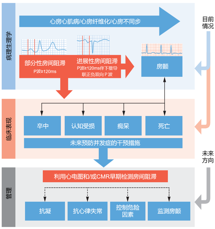 总被忽略的房间阻滞，该如何管理?|最新高分综述w2.jpg