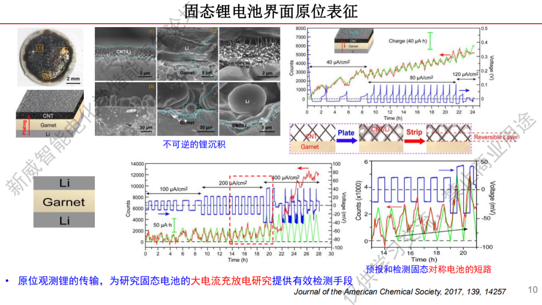 【完美收官】独创技术!中国科学技术大学王成威教授:全固态锂金属电池和超快高温烧结技术w12.jpg