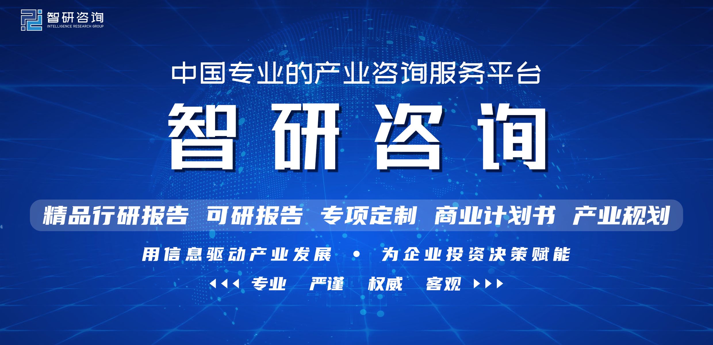 中国互联网+保险行业市场深度分析及投资方向研究报告-1.jpg