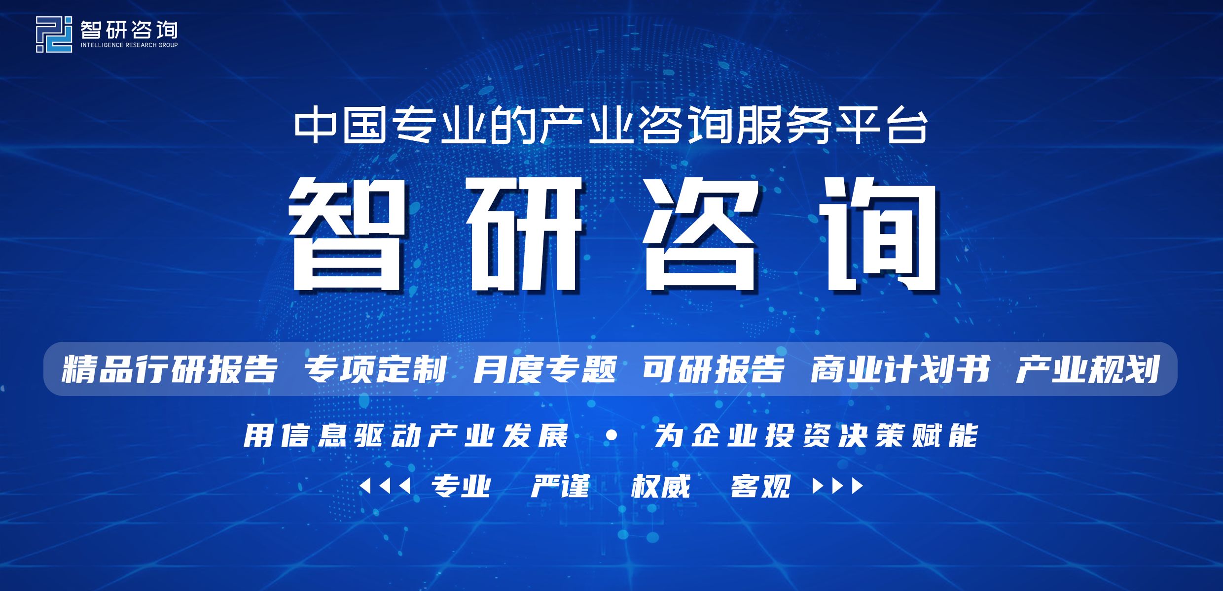 中国互联网+信息安全行业市场运行态势及发展前景研究报告 ...-1.jpg