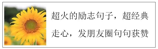 非常精辟的人生感悟,每日生活感悟,简单唯美的生活心情说说w8.jpg