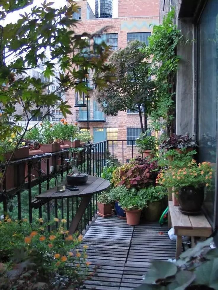 生活可以很美,小阳台也有“大花园”梦w16.jpg