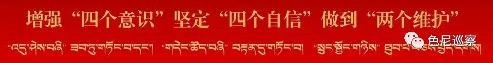 色尼区人大办党支部召开2022年度组织生活会暨巡察整改专题组织生活会w2.jpg