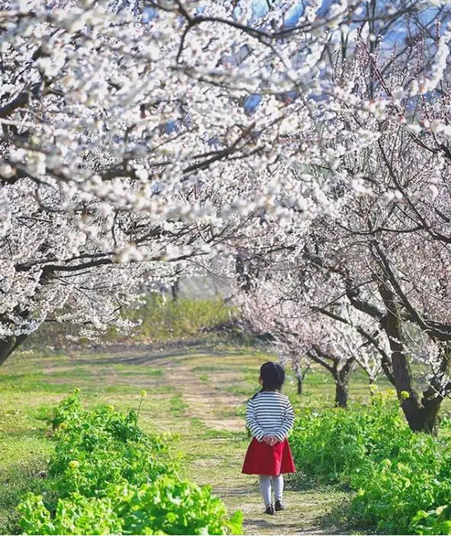 日本太太晒50岁后的精致生活w9.jpg