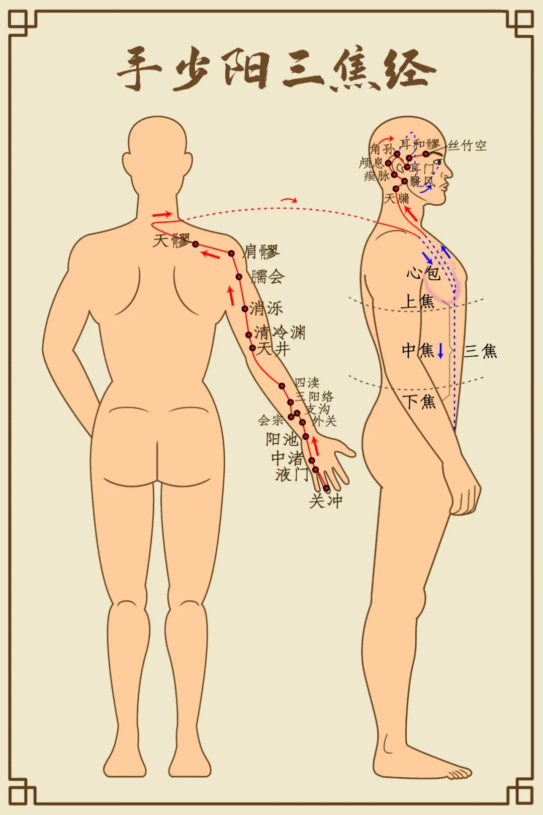 雨水,养生要点,w7.jpg