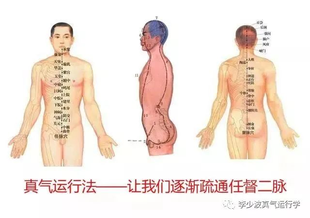 李少波真气运行养生法,贯通任督二脉,延年益寿!w7.jpg