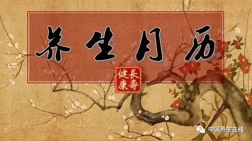 纪录片《中华养生宝典》15养生名家之庄子w20.jpg