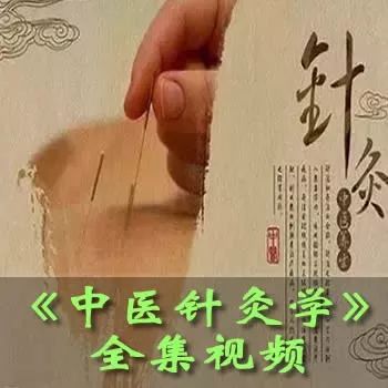 纪录片《中华养生宝典》15养生名家之庄子w33.jpg