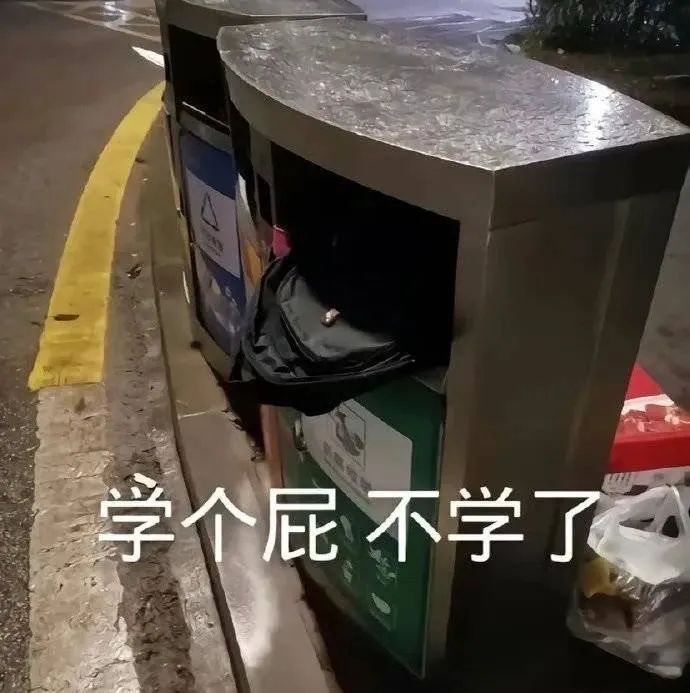 搞笑表情包:真的不熬夜了w29.jpg