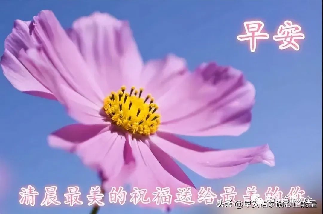 早上好,愿友情更牢固,祝你生活更美好!早安w4.jpg