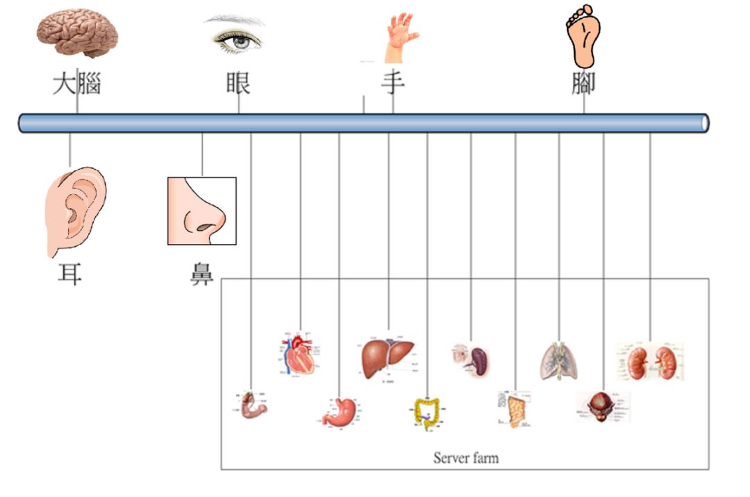 养生篇 | 养生需要学习的中医基本知识w4.jpg