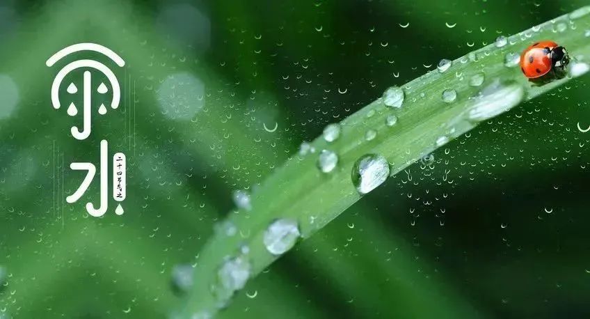 节气养生 | 今日雨水,万物萌发,这份养生指南千万不可错过~w3.jpg